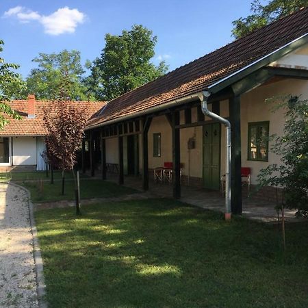 Farm House Domaszék Zewnętrze zdjęcie